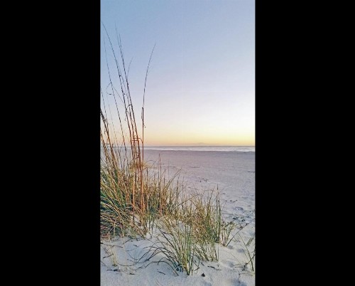 Holmes Beach Ocean View 3101 - image 11