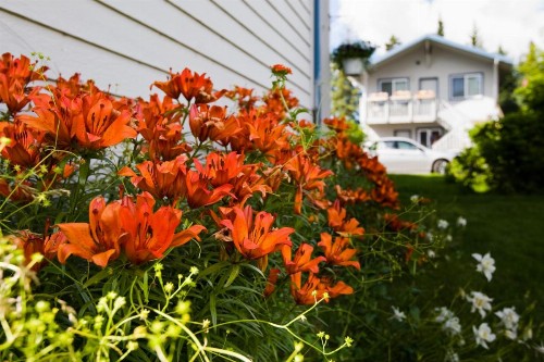 Bay Ave Bed and Breakfast Inn - image 16