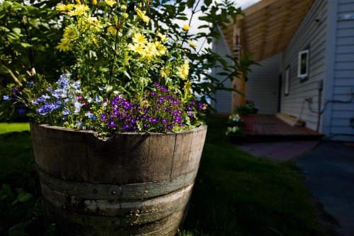 Bay Ave Bed and Breakfast Inn - image 43