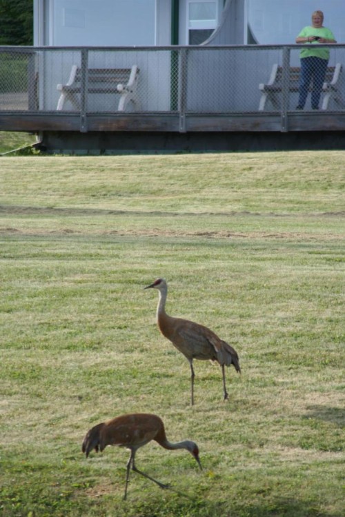 Ocean Shores Hotel - image 5