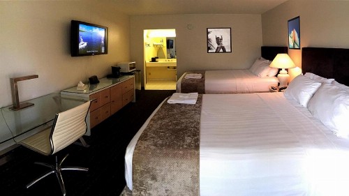 Floridian Hotel - image 28