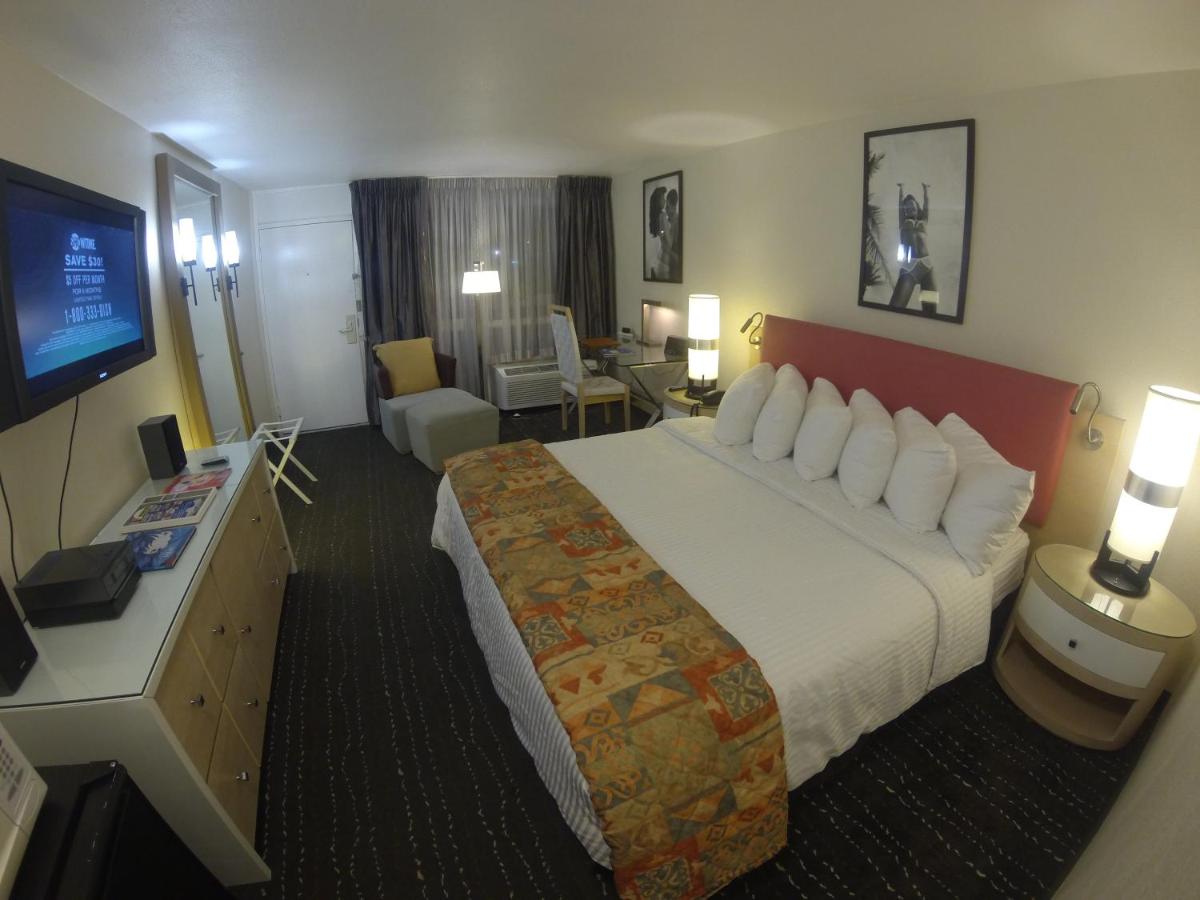 Floridian Hotel - image 6