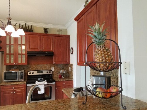 My Florida Lake House - image 4