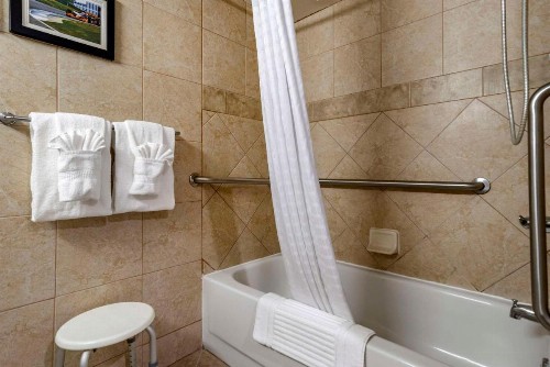 Comfort Inn Birmingham Homewood - image 12