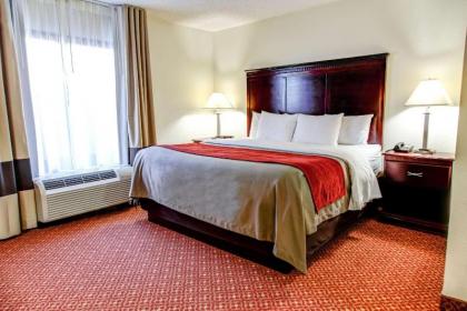 Comfort Inn Birmingham Alabama