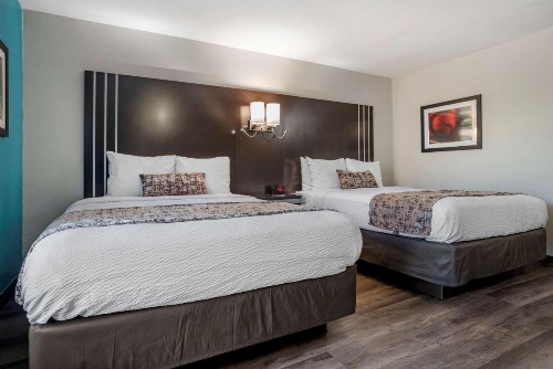 Best Western Plus Carlton Suites - Birmingham - image 13