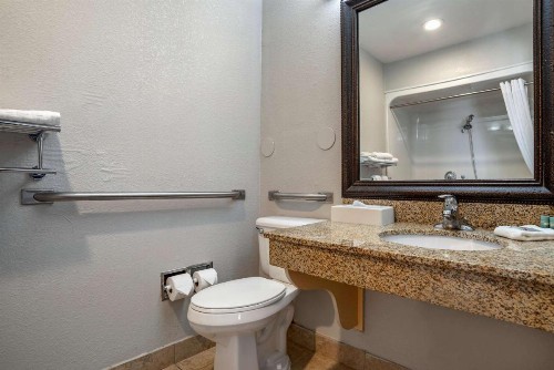 Best Western Plus Carlton Suites - Birmingham - image 26