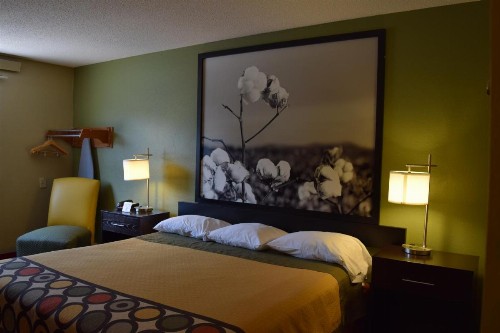 Super 8 by Wyndham Homewood Birmingham Area - image 10