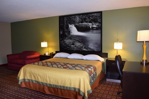 Super 8 by Wyndham Homewood Birmingham Area - image 6