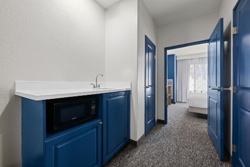 Country Inn & Suites by Radisson Homewood AL - image 48