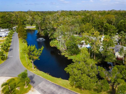 Homosassa River RV Resort - image 1
