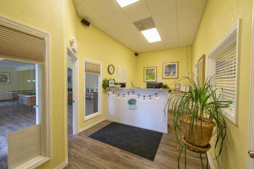 Homosassa River RV Resort - image 8