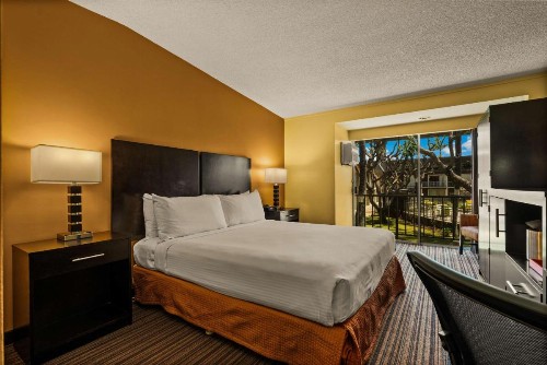 Best Western The Plaza Hotel - Free Breakfast - image 37