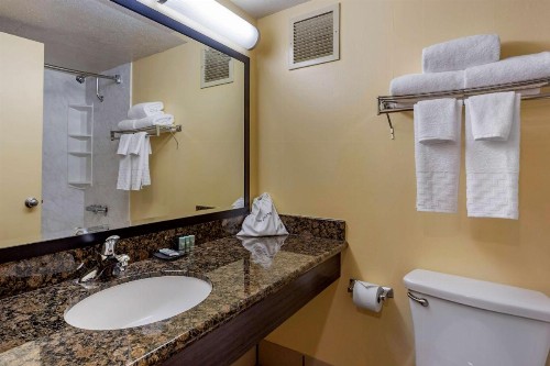 Best Western The Plaza Hotel - Free Breakfast - image 44