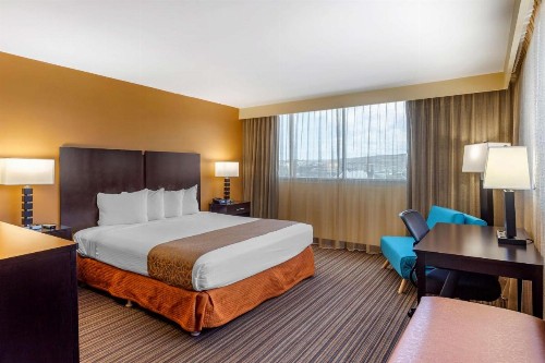 Best Western The Plaza Hotel - Free Breakfast - image 47