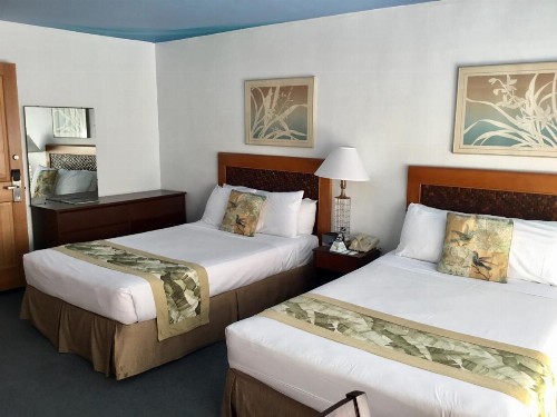 Holiday Surf Hotel (with full kitchen) - image 10