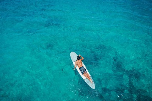 Lotus Honolulu at Diamond Head - image 22