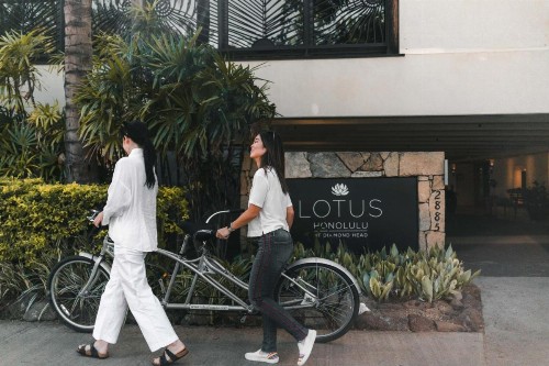 Lotus Honolulu at Diamond Head - image 3