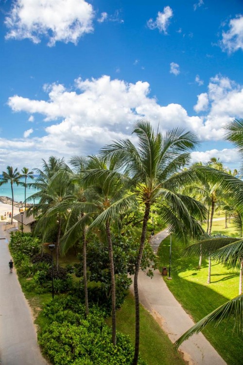 Castle Waikiki Shore Beachfront Condominiums - image 17