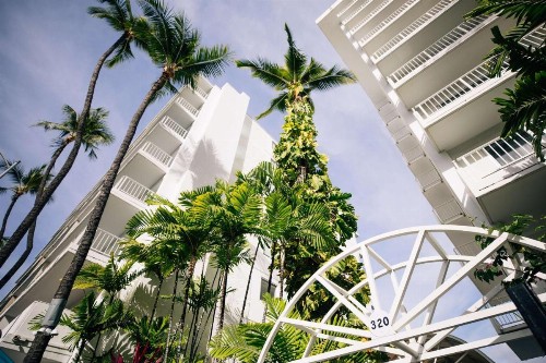 Aqua Oasis - image 28
