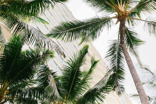 The Modern Honolulu By Diamond Resorts - image 8