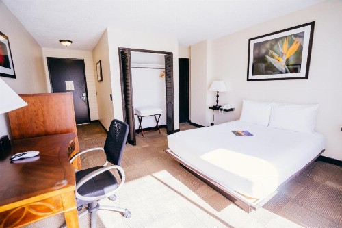 Stay Hotel Waikiki - image 15