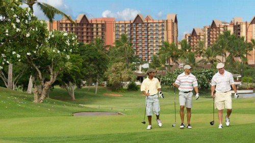 Aulani A Disney Resort And Spa - image 18