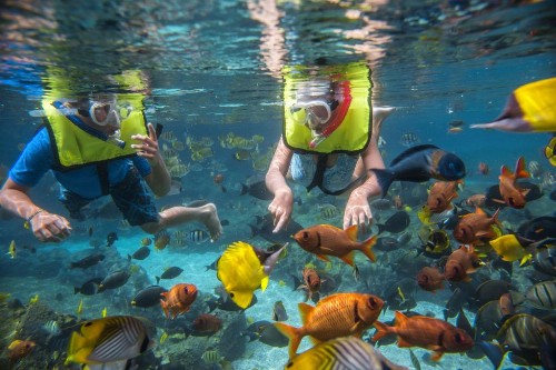 Aulani A Disney Resort And Spa - image 33