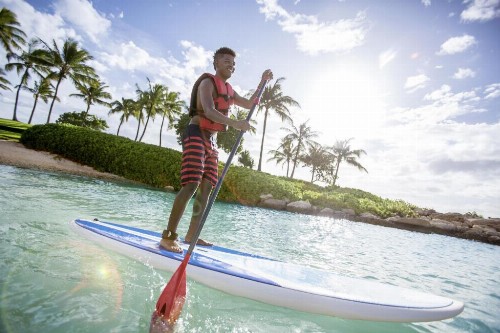 Aulani A Disney Resort And Spa - image 37