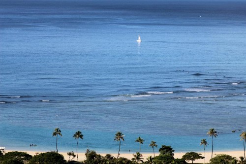 LSI Resorts at Ala Moana - image 33