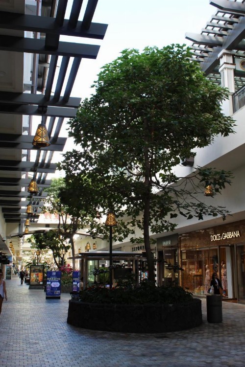 LSI Resorts at Ala Moana - image 38