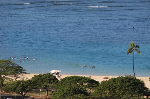 LSI Resorts at Ala Moana - image 7