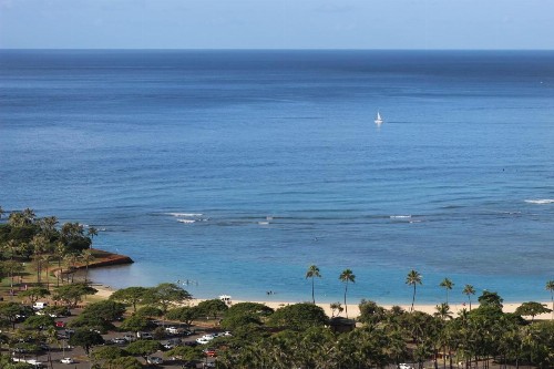 LSI Resorts at Ala Moana - image 8