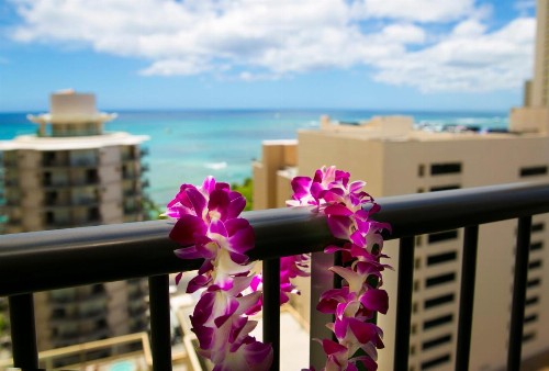 Waikiki Resort Hotel - image 20