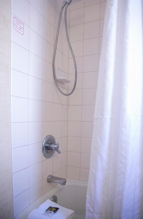 Waikiki Resort Hotel - image 21