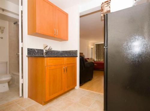 Island Colony Apartment - image 6