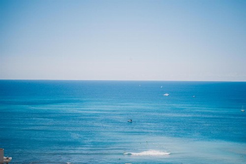 Pacific Monarch - image 46