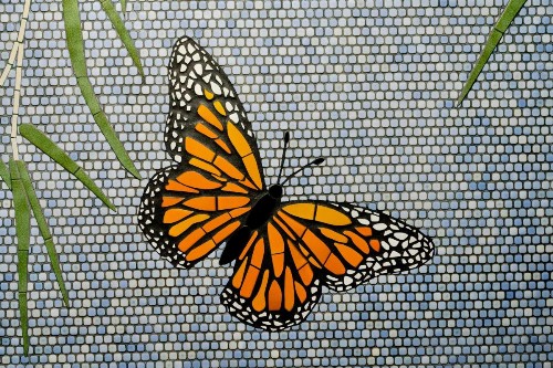 Pacific Monarch - image 6