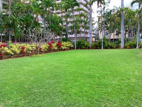 Vacation Rental Suites at Royal Garden Waikiki - image 23