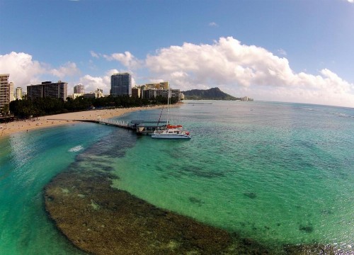 Aqua Palms Waikiki #304 and #1112 - image 33