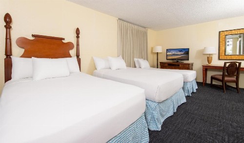 Ohia Waikiki Studio Suites - image 39
