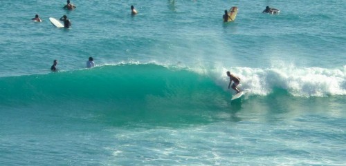 Waikiki Beach Tower - image 10