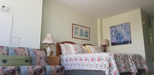 Waikiki Studio at Ilikai Marina - best final price! - image 16