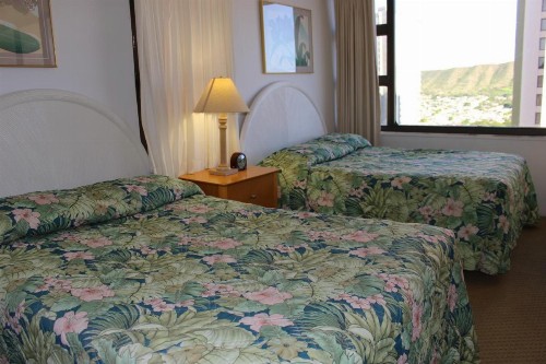 PonoAloha - image 35