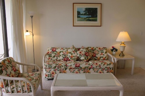 PonoAloha - image 37