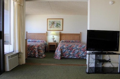 PonoAloha - image 48