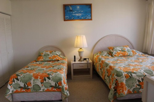 PonoAloha - image 7