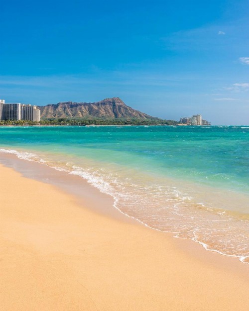 Waikiki Whale Watcher Apts 602A - image 8