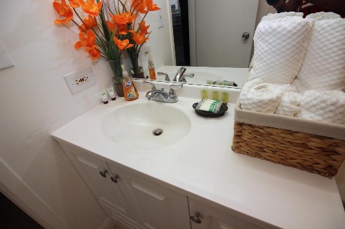 Prince Edward Street Apartment - image 6