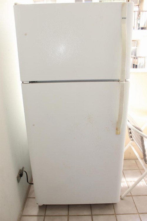 1004 BLUE OASIS - image 8